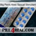 Big Penis Male Sexual Stimulant 39